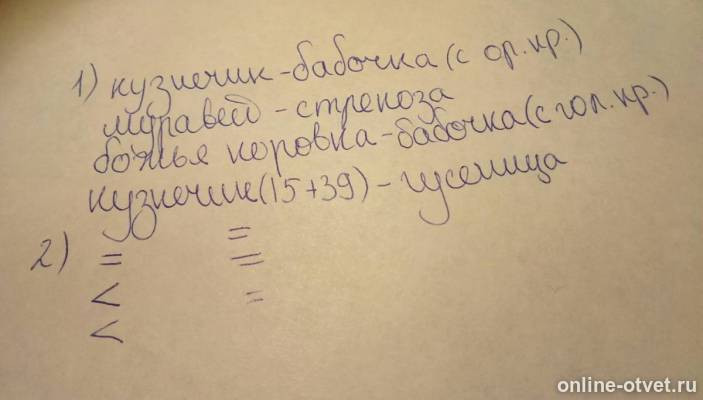 Изображение к ответу