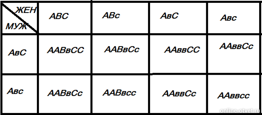 Изображение к ответу