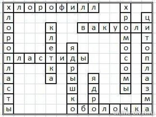 Кроссворд растительная клетка 5 класс с ответами. Кроссворд на тему клетка. Кроссворд по биологии 5 класс по теме строение клетки. Биологический кроссворд. Кроссворд по биологии 6 класс строение клетки.