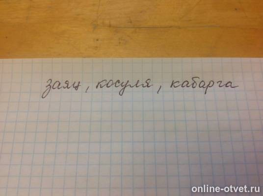Изображение к ответу