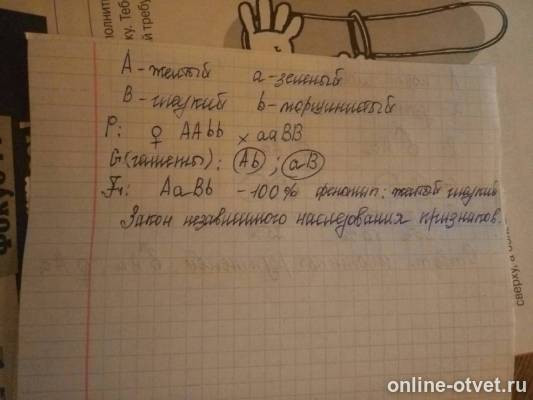 Изображение к ответу