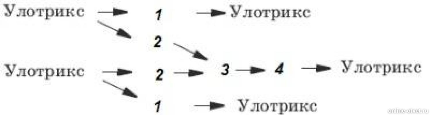 Рассмотрите схему и выберите верные. 2. Рассмотри схему размножения улотрикса.. Рассмотрите схему размножения улотрикса. Рассмотрим схему размножения улотрикса Найди верные термины. Рассмотри схему размножения улотрикса.