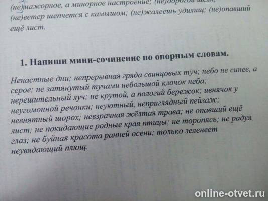 Мини Сочинение Сколько Страниц Мини Сочинение Сколько Страниц