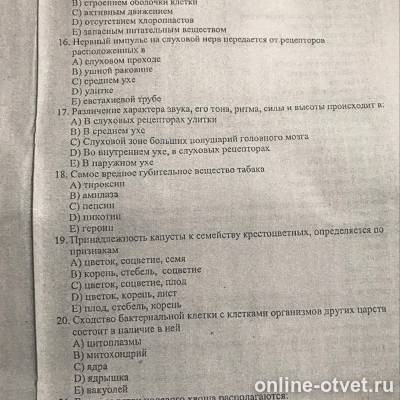 Изображение к вопросу