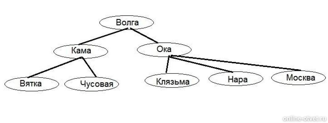 Составьте схему показывающую состав. Дерево структуры бассейна Волги. Дерево структуры бассейна Волги Информатика. Волгу структура. Схема дерево и река.