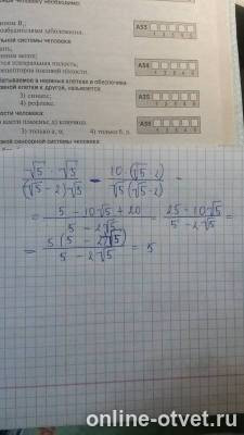 Изображение к ответу