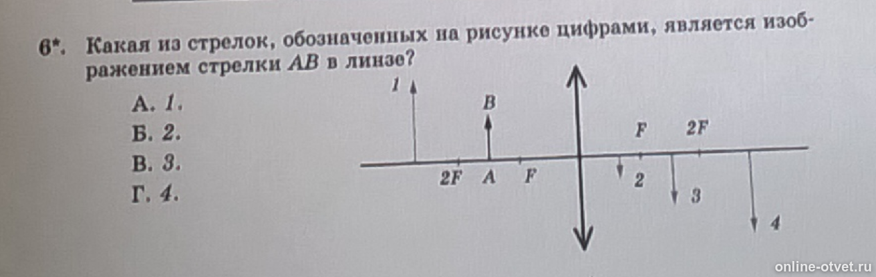 На рисунке стрелкой обозначен. Изображение на рисунке является. На рисунке стрелками обозначены:. Какая часть стрелочного обозначается цифрой 2.