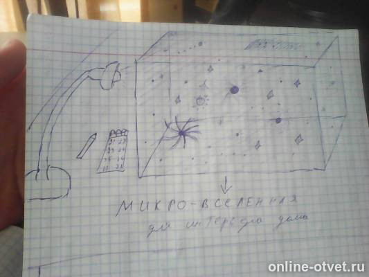 Изображение к ответу
