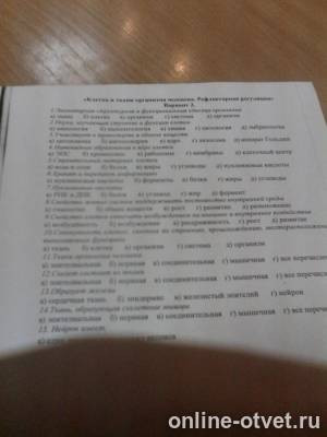 Изображение к вопросу