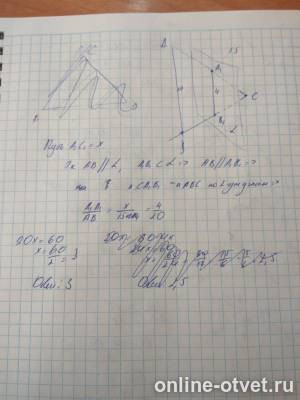 Изображение к ответу