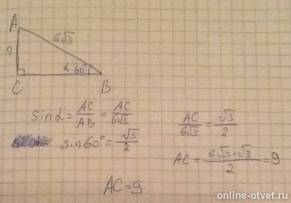 Изображение к ответу