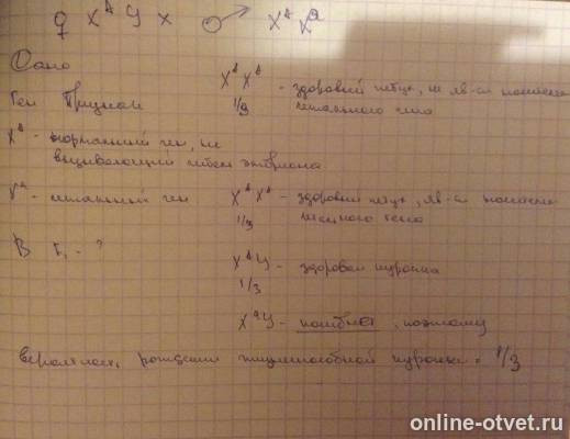 Изображение к ответу