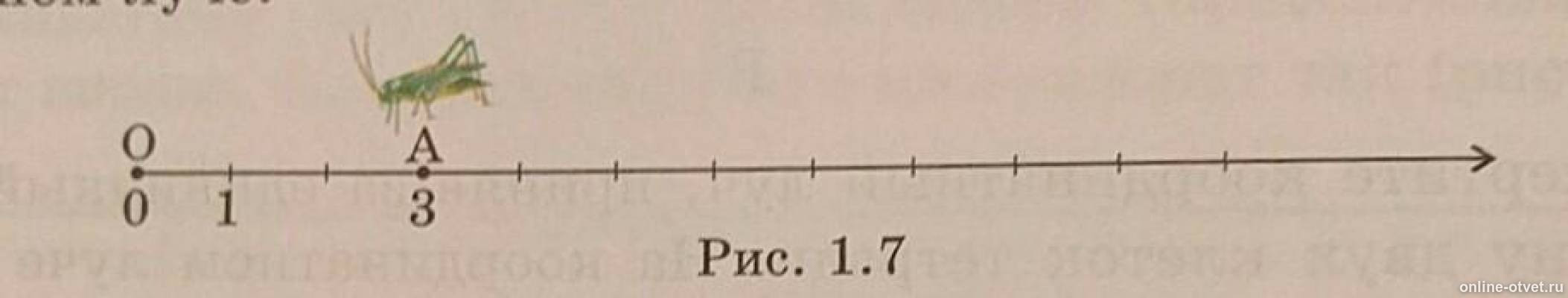 На рисунке 3 7 изображена. Кузнечик на координатном Луче. Кузнечик прыгает вдоль координатного луча попеременно на 5. Кузнечик скачет вдоль координатного луча попеременно. Единичный отрезок это 5.