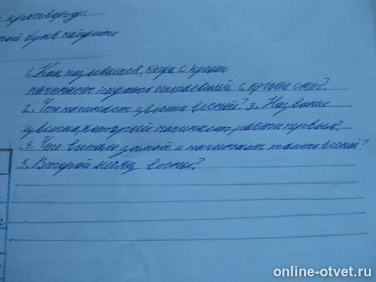 Изображение к ответу