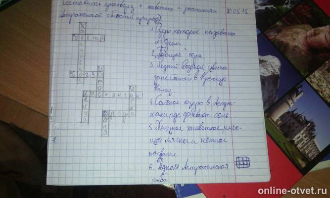 Изображение к ответу