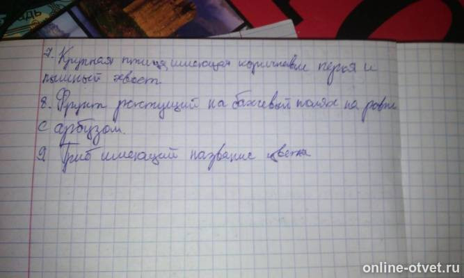 Изображение к ответу