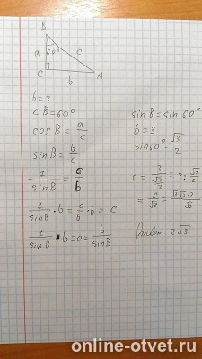 Изображение к ответу