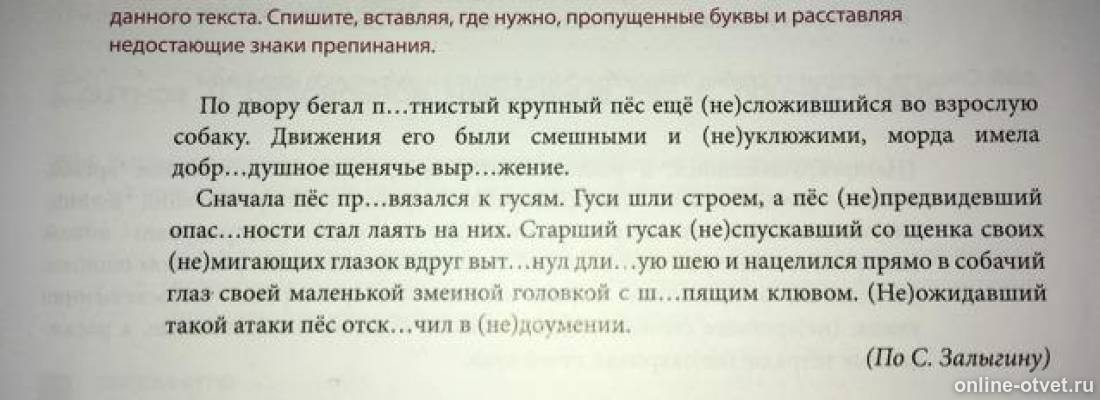 Изображение к вопросу