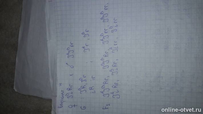 Изображение к ответу