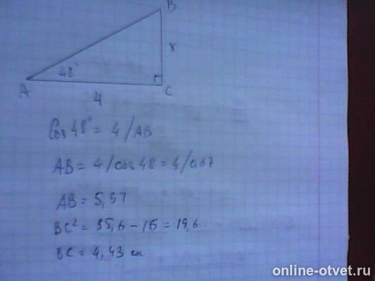 Изображение к ответу