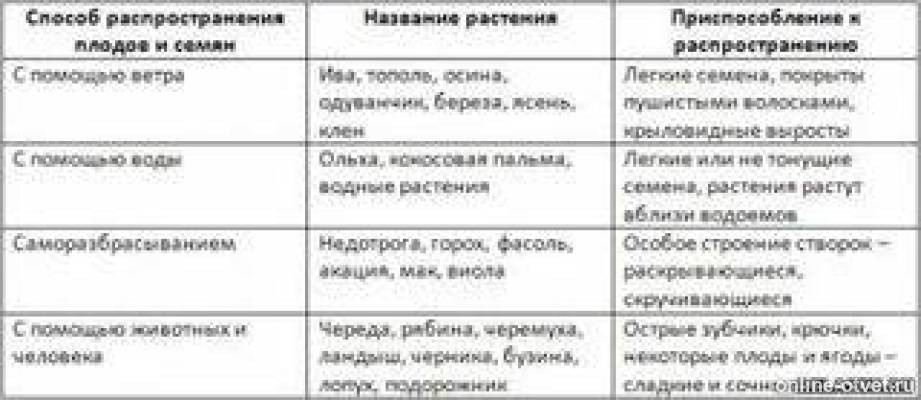 Плоды распространение плодов 6 класс. Таблица по биологии 6 класс способы распространения семян. Таблица по биологии 6 класс способы распространения семян. Биология распространение плодов и семян. Плоды распространение плодов 6 класс.