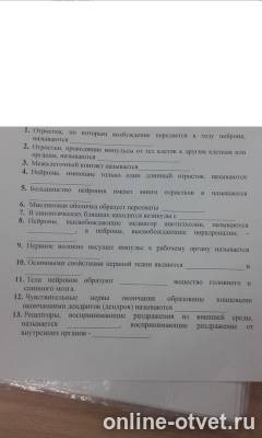 Изображение к вопросу