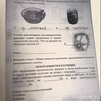 Изображение к вопросу