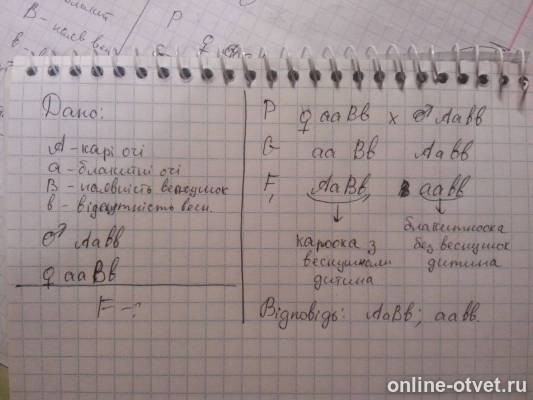 Изображение к ответу