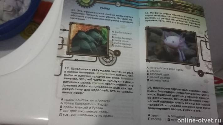 Изображение к вопросу