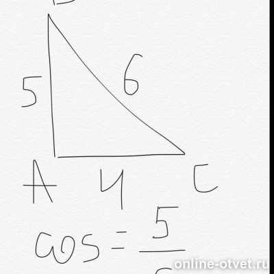 Изображение к ответу