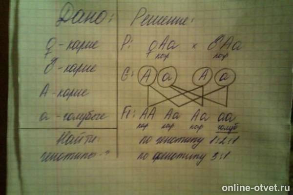 Изображение к ответу