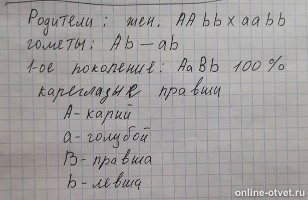 Изображение к ответу