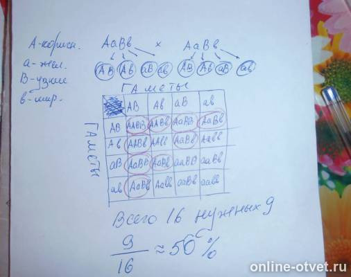 Изображение к ответу