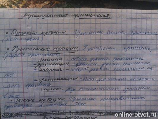 Изображение к ответу