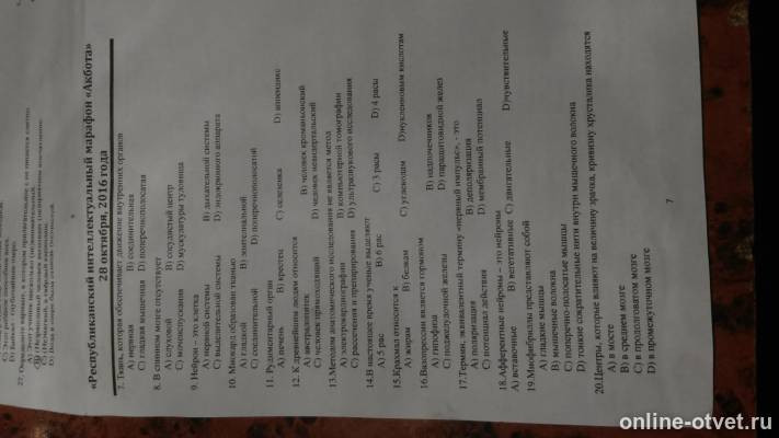 Изображение к вопросу