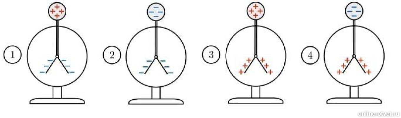 Отрицательный заряд рисунок. Незаряженный электроскоп. Распределение заряда в электроскопе. Если поднести к электроскопу заряженную палочку. Заряженные и незаряженные лепестки электроскопа.