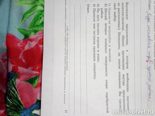 Изображение к вопросу