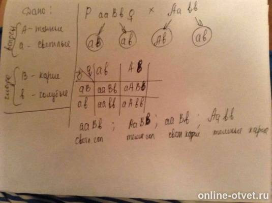 Изображение к ответу