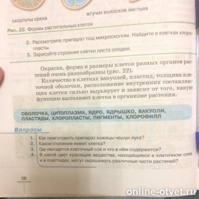 Изображение к вопросу