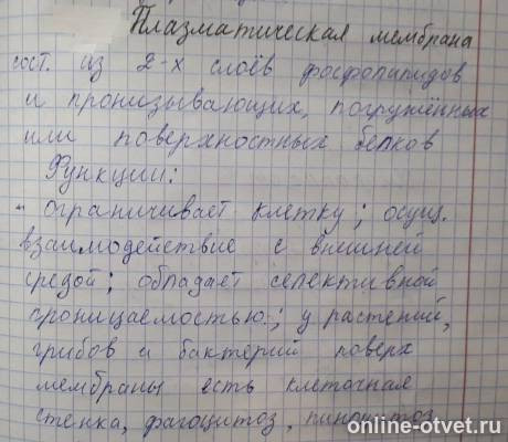 Изображение к ответу