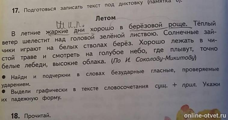 Тексты под диктовку 2 класс русский. Подготовиться писать текст под диктовку памятка номер 2.
