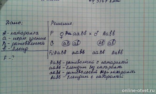 Изображение к ответу