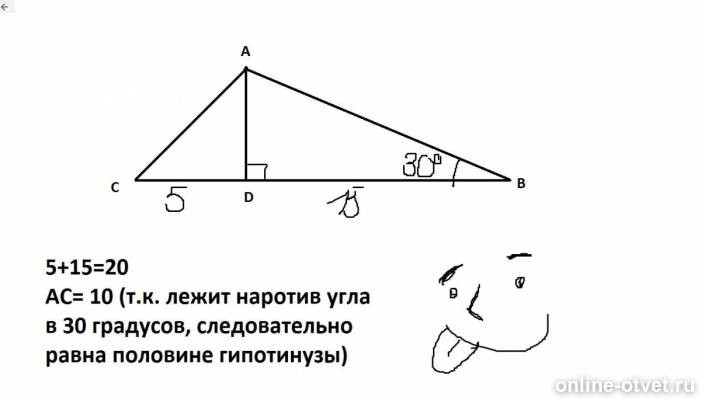 Изображение к ответу