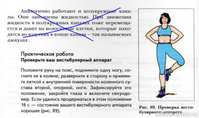 Определить ваше состояние. Практическая работа проверка вестибулярного аппарата. состояние вестибулярного аппарата. упражнения для вестибулярного аппарата.