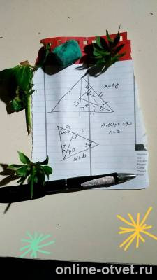 Изображение к ответу