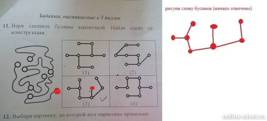 Изображение к ответу