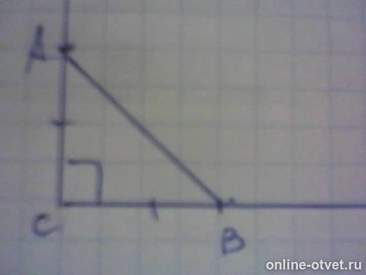 Изображение к ответу