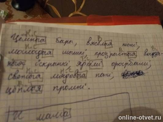 Изображение к ответу