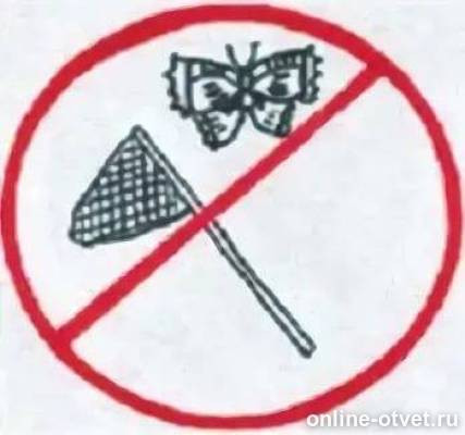 Не будем ловить бабочек. Не будем ловить бабочек. Ловить бабочек. Экологические знаки для детей. Не будем ловить бабочек.