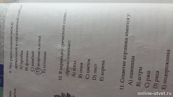 Изображение к вопросу